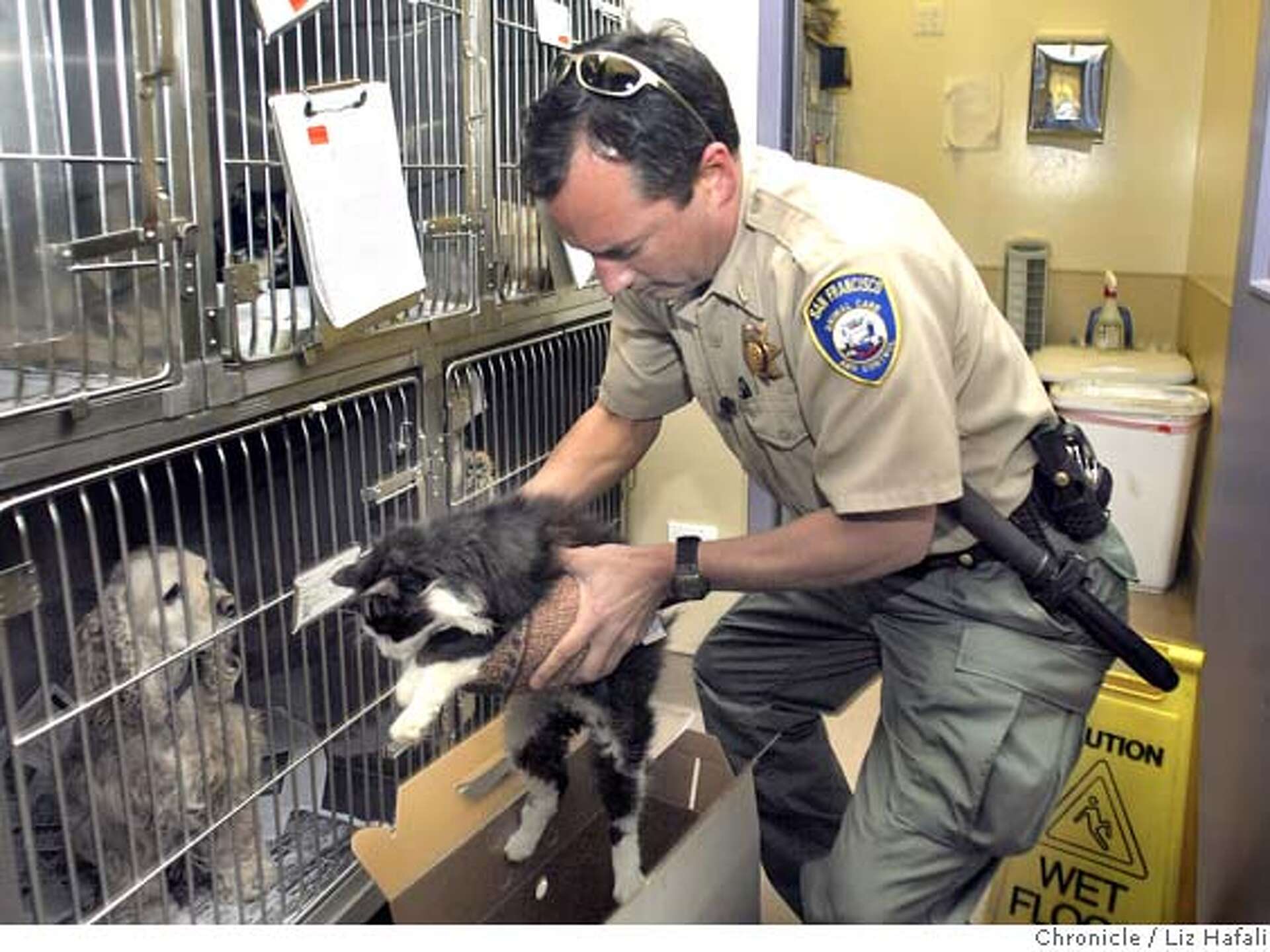 Animal Planet's 'Cops' tames San Francisco
