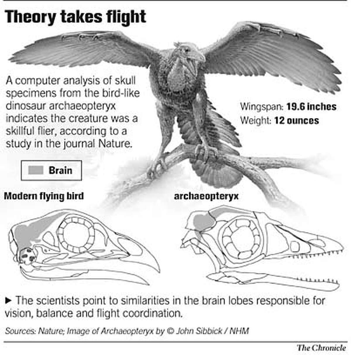 could dinosaurs fly