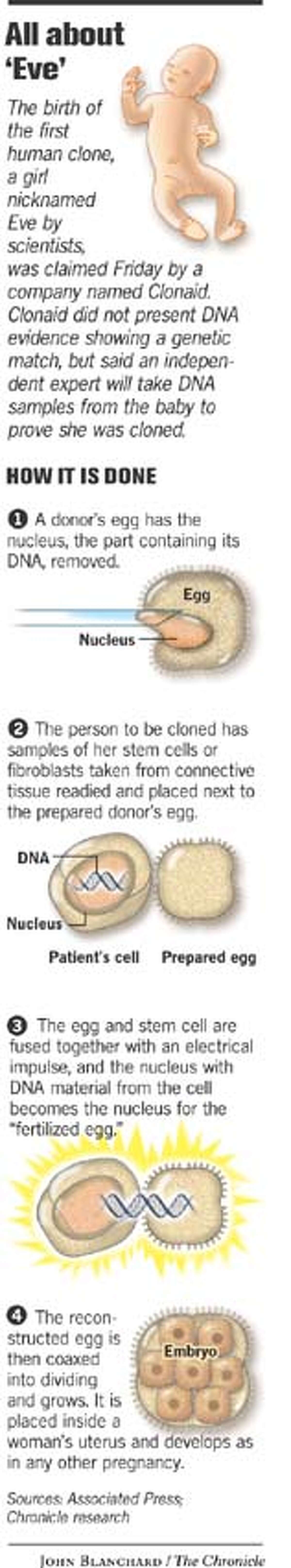 First Human Clone Is Born Sect Claims Skepticism Greets Stunning