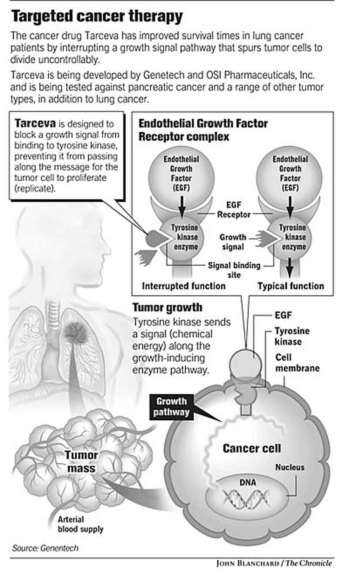 extending lives, raising survival ... Biology Diagrams