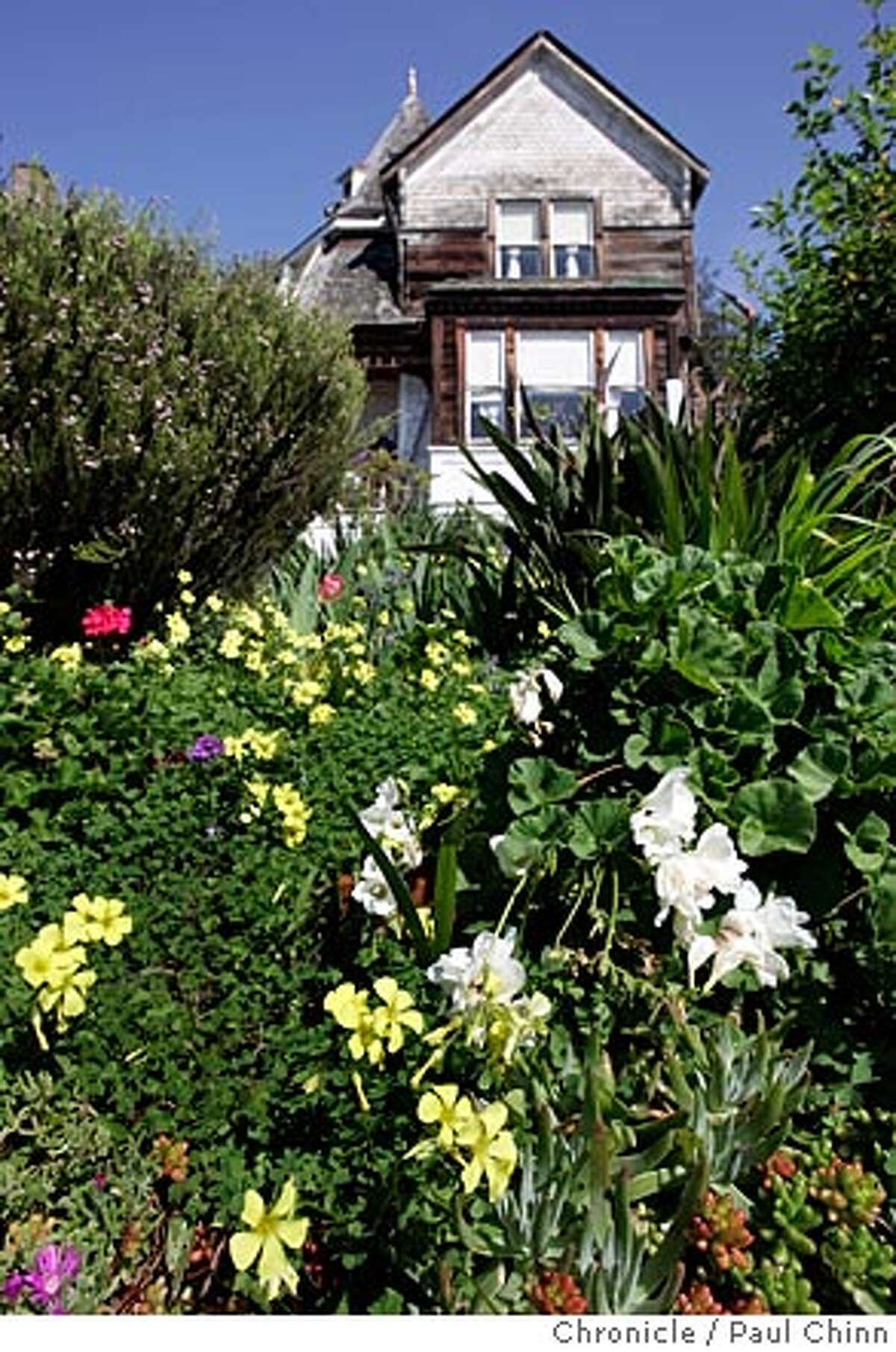 Flowers bloom in the front yard of an 1886 Victorian by architect Ira Boynton at 1431 Arch St. Bob Johnson, a member of the Berkeley Landmark Preservation Commission, toured of some of the city's most impressive architectural gems on 3/29/05 in Berkeley, CA. PAUL CHINN/The Chronicle