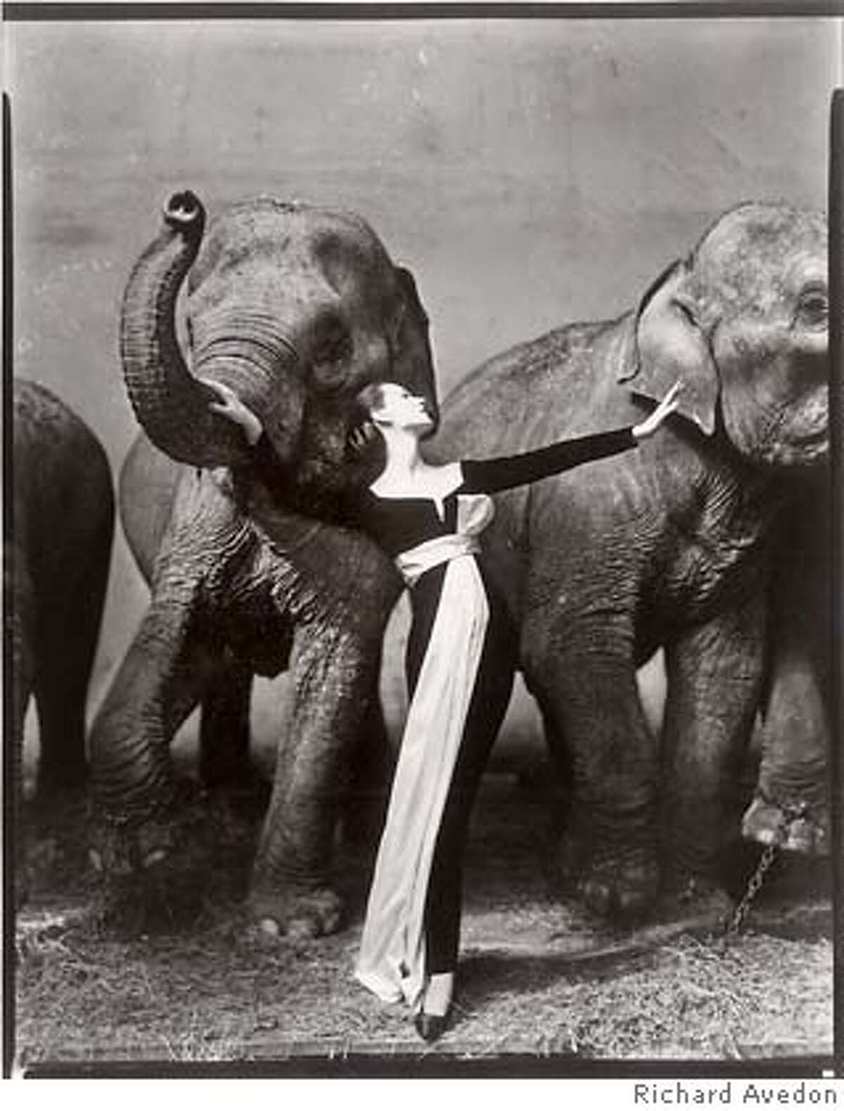 Appreciation   Richard Avedon Kept His Photographs Simple, But They 