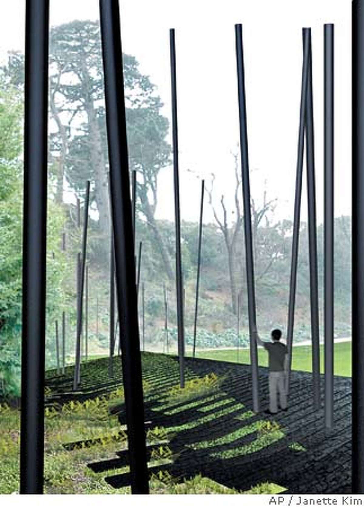 This is an undated artist rendition provided by architects Janette Kim and Chloe Town who won the National AIDS Memorial Design Competition. "Living Memorial," the winning entry by Kim and Town, features a stand of black carbon fiber trees, a charred wood deck and a burned, bark-like walkway that in time will sprout greenery elements borrowed from a fire-scarred forest to evoke a sense of loss and renewal. (AP Photo/Janette Kim, Chloe Town, HO) MAGS OUT