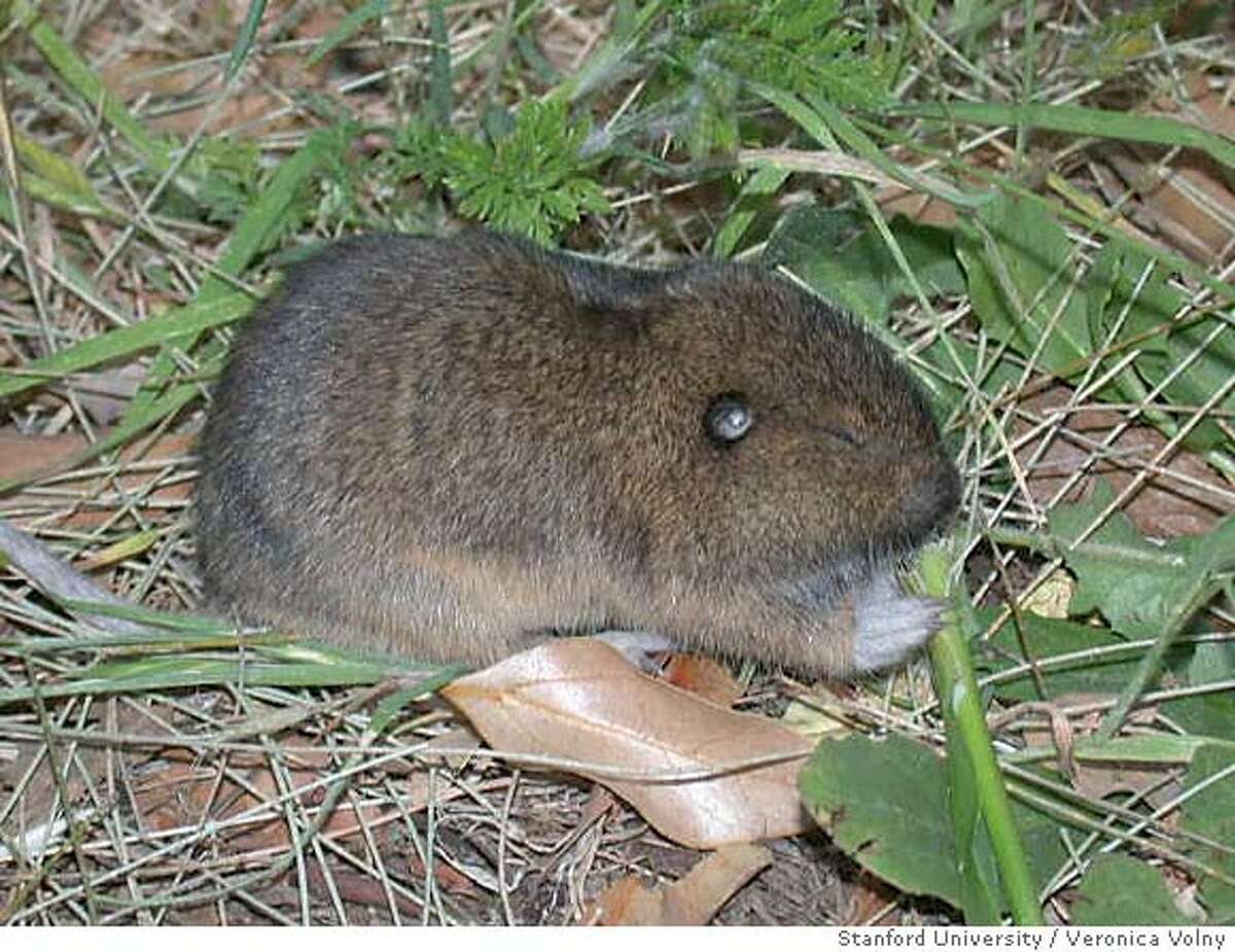 Fossils show climate influencing evolution / Changes affect