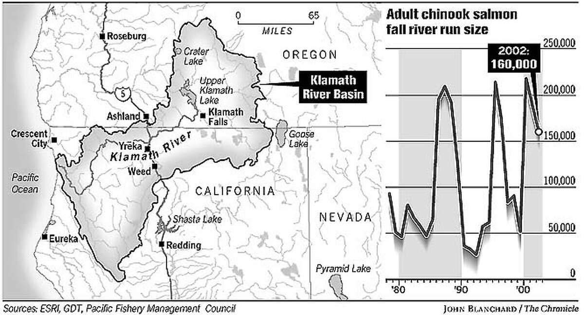 Salmon prices expected to go up / Fishing season will probably be cut