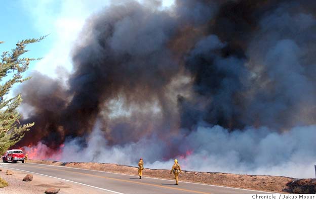 Grass Fire Scorches Novato