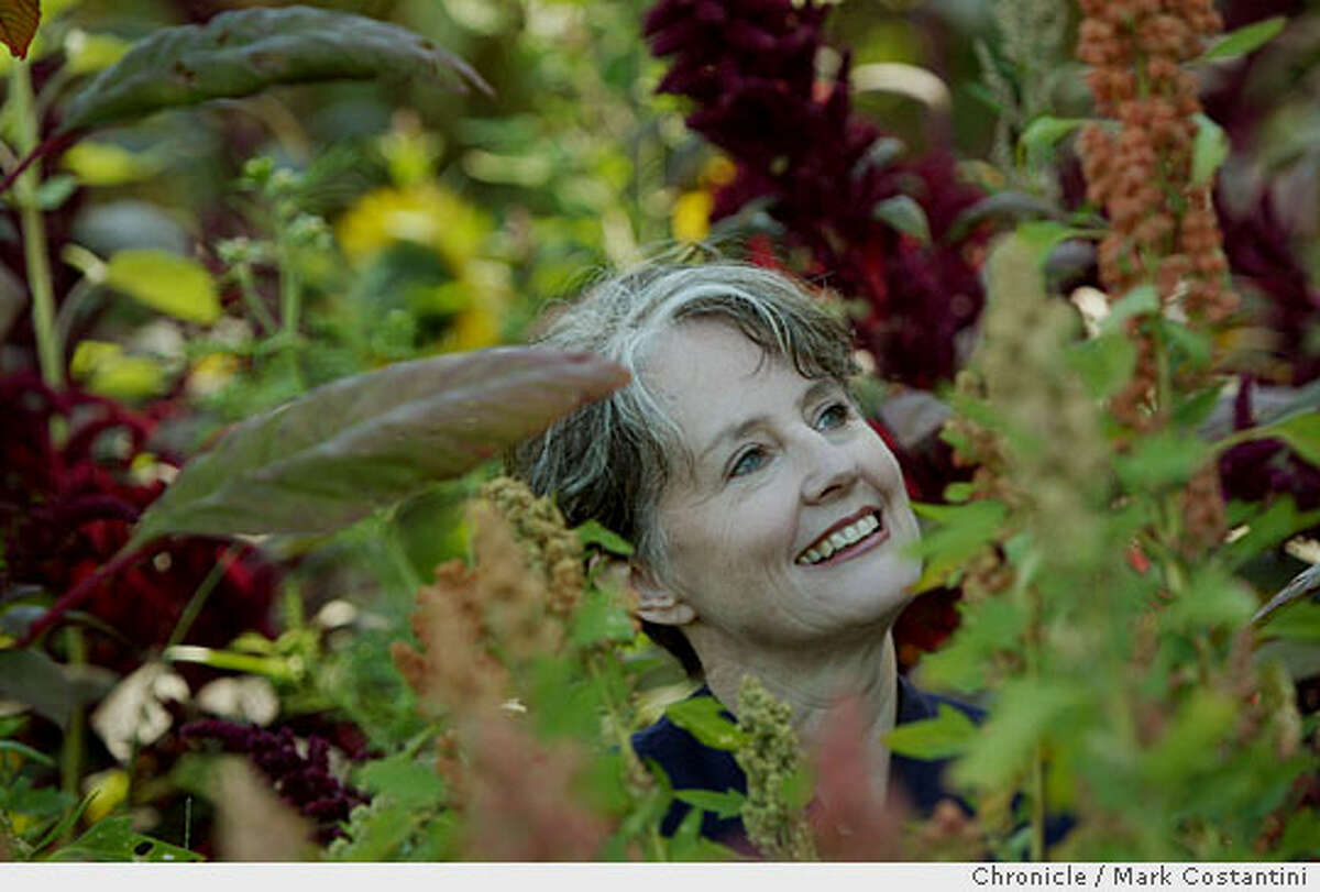 Chez Panisse founder Alice Waters has backed the project with $3.8 million rom her foundation. Chronicle photo by Mark Costantini