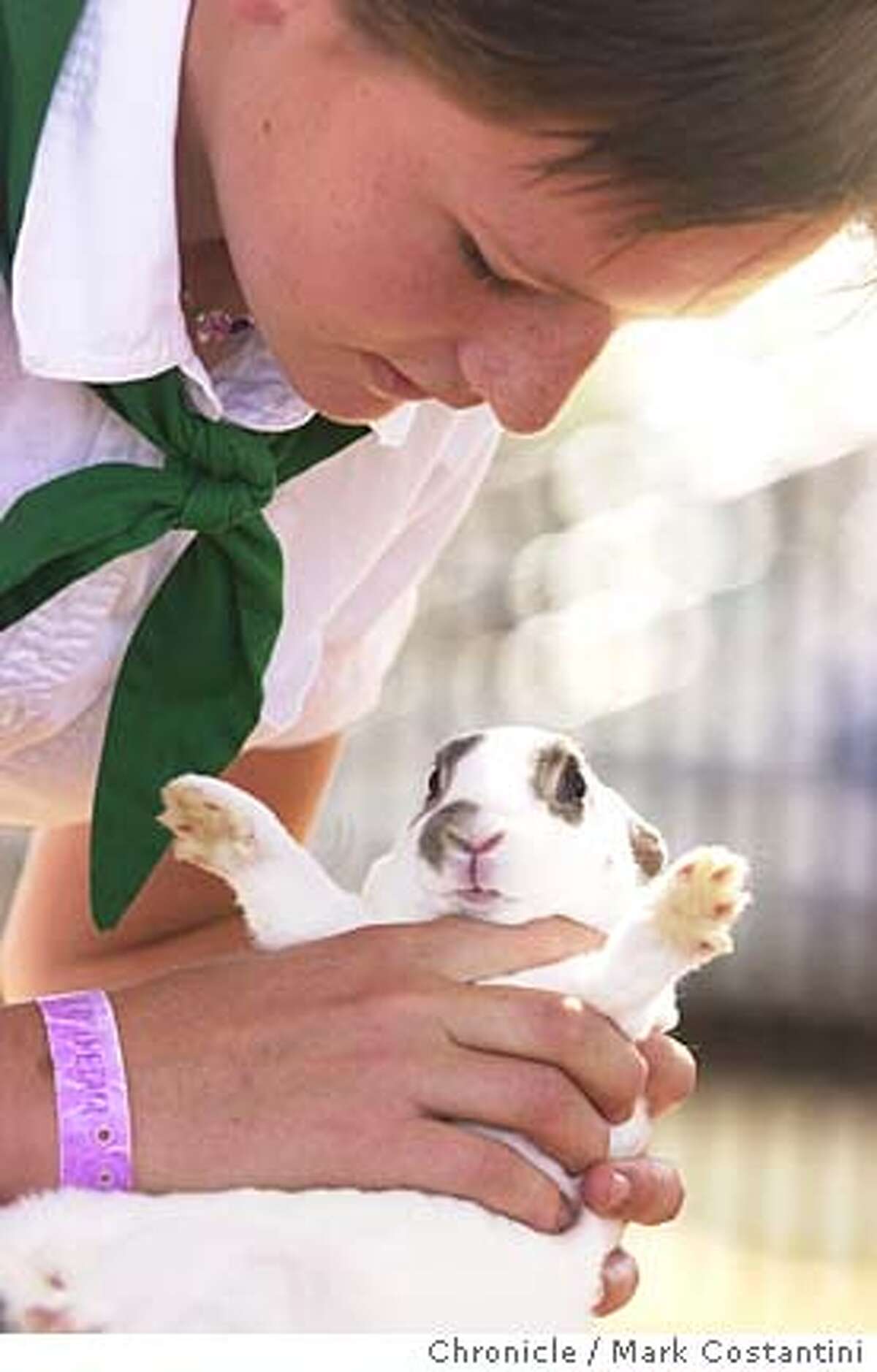 SANTA ROSA / 4-H contest tests kids' skills in handling strange animals SANTA ROSA / 4-H contest tests kids' skills in handling strange animals