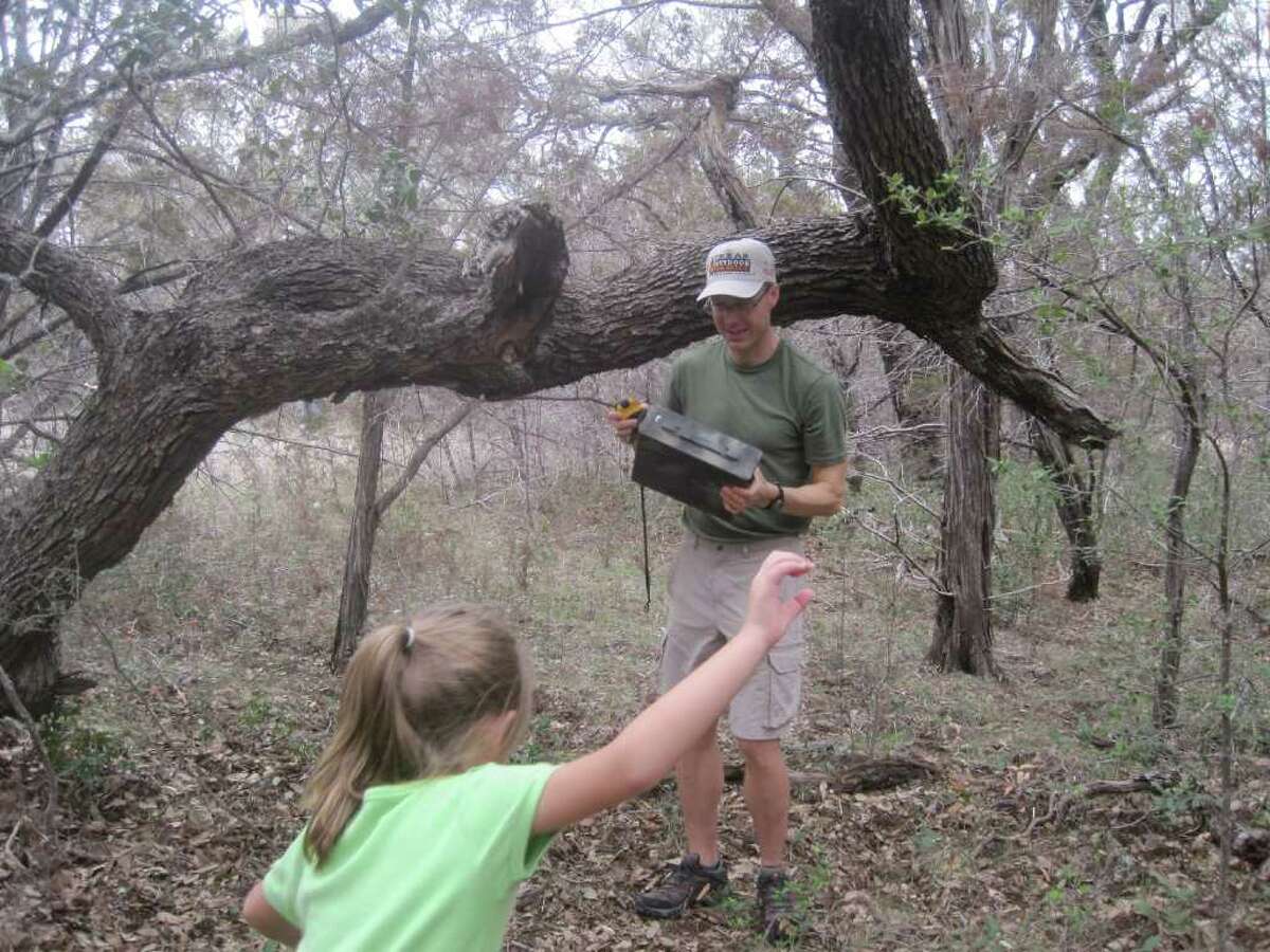 Family camping time gets pretty wild