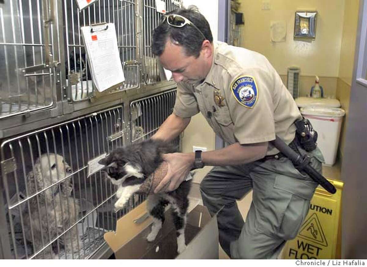 SAN FRANCISCO / 'Animal Cops' to track tails of the city / S.F. bests