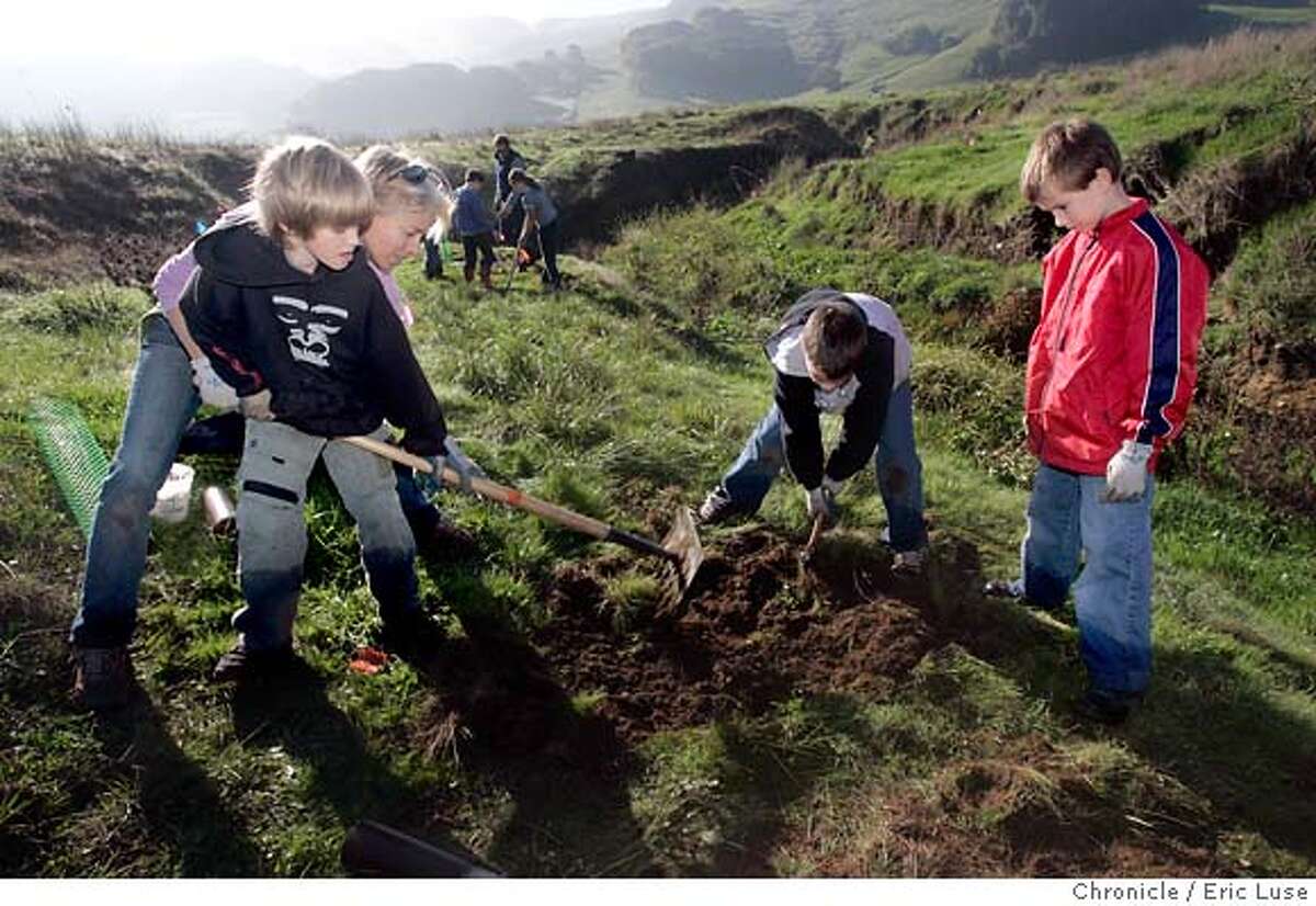 nbconservation123_el.jpg Brookside mom and volunteer Josie Hopkins (Tucker's mom) with students Tucker Waseuta,9 Zack Halisman,9 and Michael Swalberg,9 plant Coyote Bush during a restoration project. Brookside Elementary, San Anselmo, restoration project planting trees at the Jacobsen Ranch as part of a project involving the Marin Resource Conservation District and local ranchers. Event on 12/16/04 in Petaluma. Eric Luse / The Chronicle