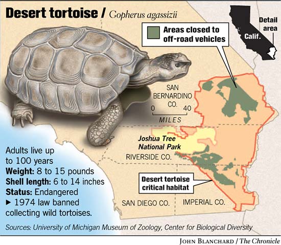 CALIFORNIA / Court bans off-road vehicles in favor of desert tortoise /  Ruling says recovery of species was in jeopardy on 572,000 acres