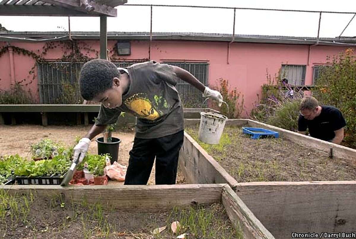 Seeds Of Change Youth Club Oracle Corp Employees Restore A Garden In Sunnydale