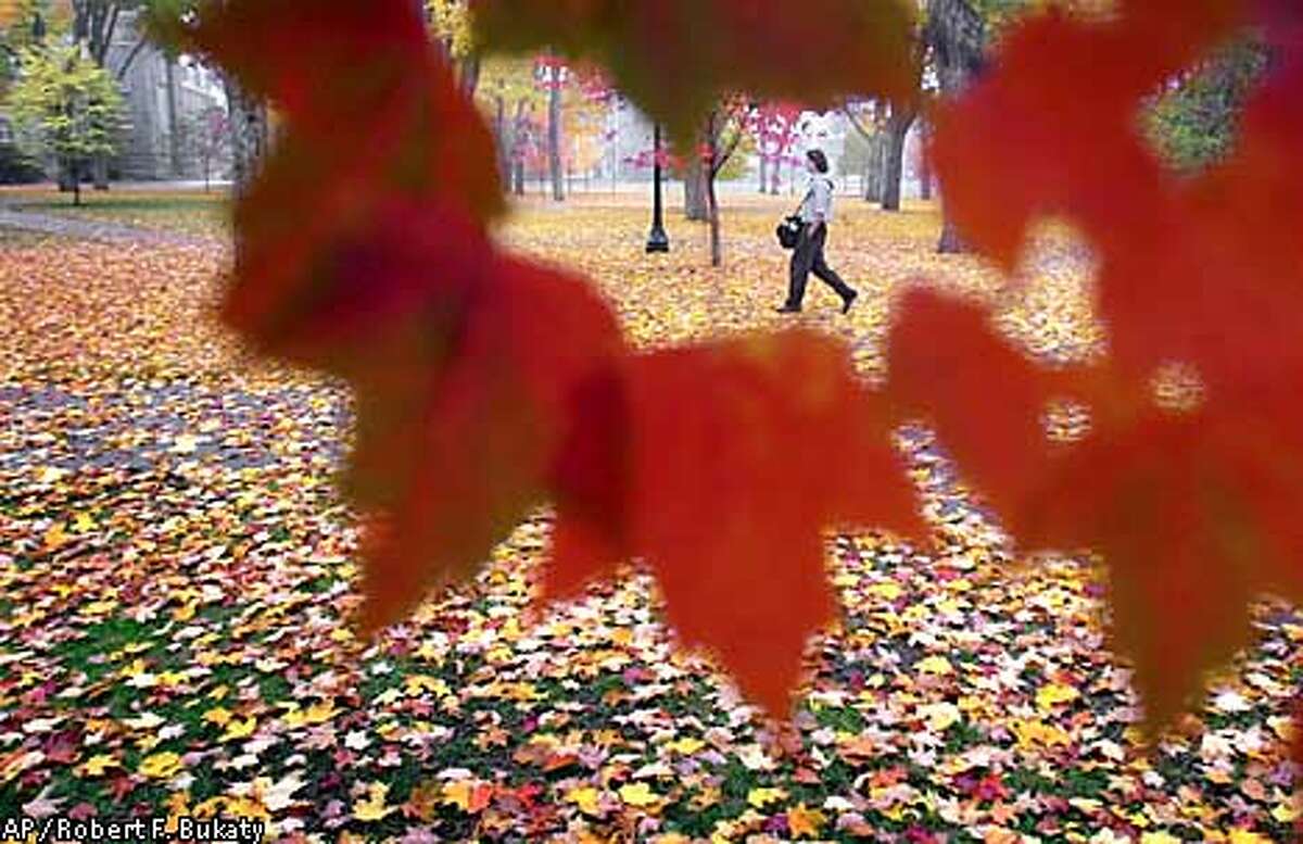 ** FOR IMMEDIATE RELEASE--FILE **Todd Forsgren makes his way to class over a carpet of fallen maple and oak leaves in the quad at Bowdoin College in Brusnswick, Maine, in this Oct. 25, 2001, file photo. (AP Photo/Robert F. Bukaty/FILE)