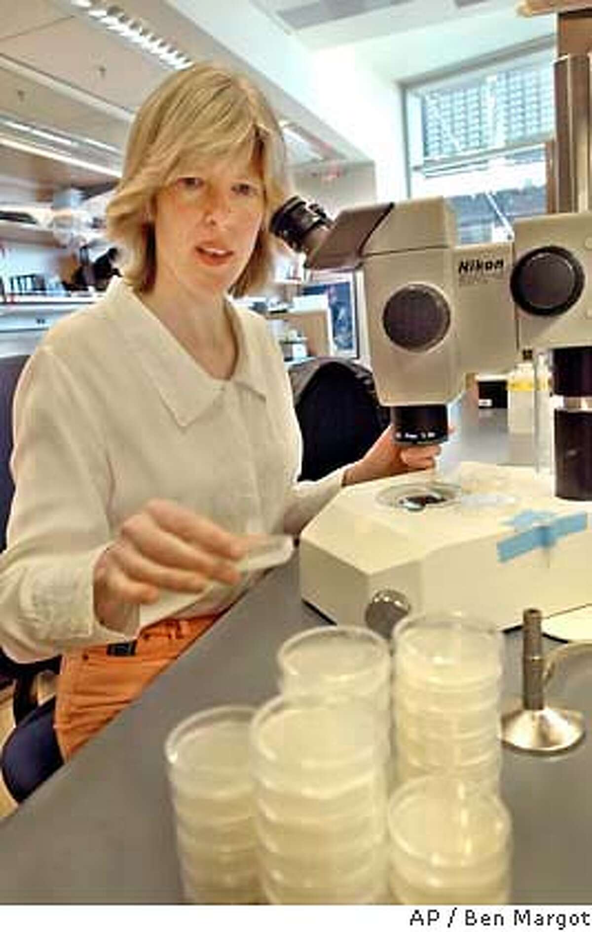** ADVANCE FOR SUNDAY, AUG. 3 **Molecular geneticist Dr. Cynthia Kenyon prepares to view a sample July 24, 2003, in a laboratory at the University of California-San Francisco. Kenyon says her research indicates that a life-prolonging drug could conceivably arise in five years, under the best circumstances. (Photo/Ben Margot)