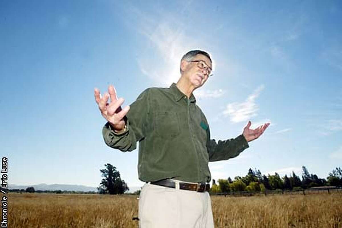 TWO VIEWS ON THE VISTA / Sebastopol development splits ruling Greens