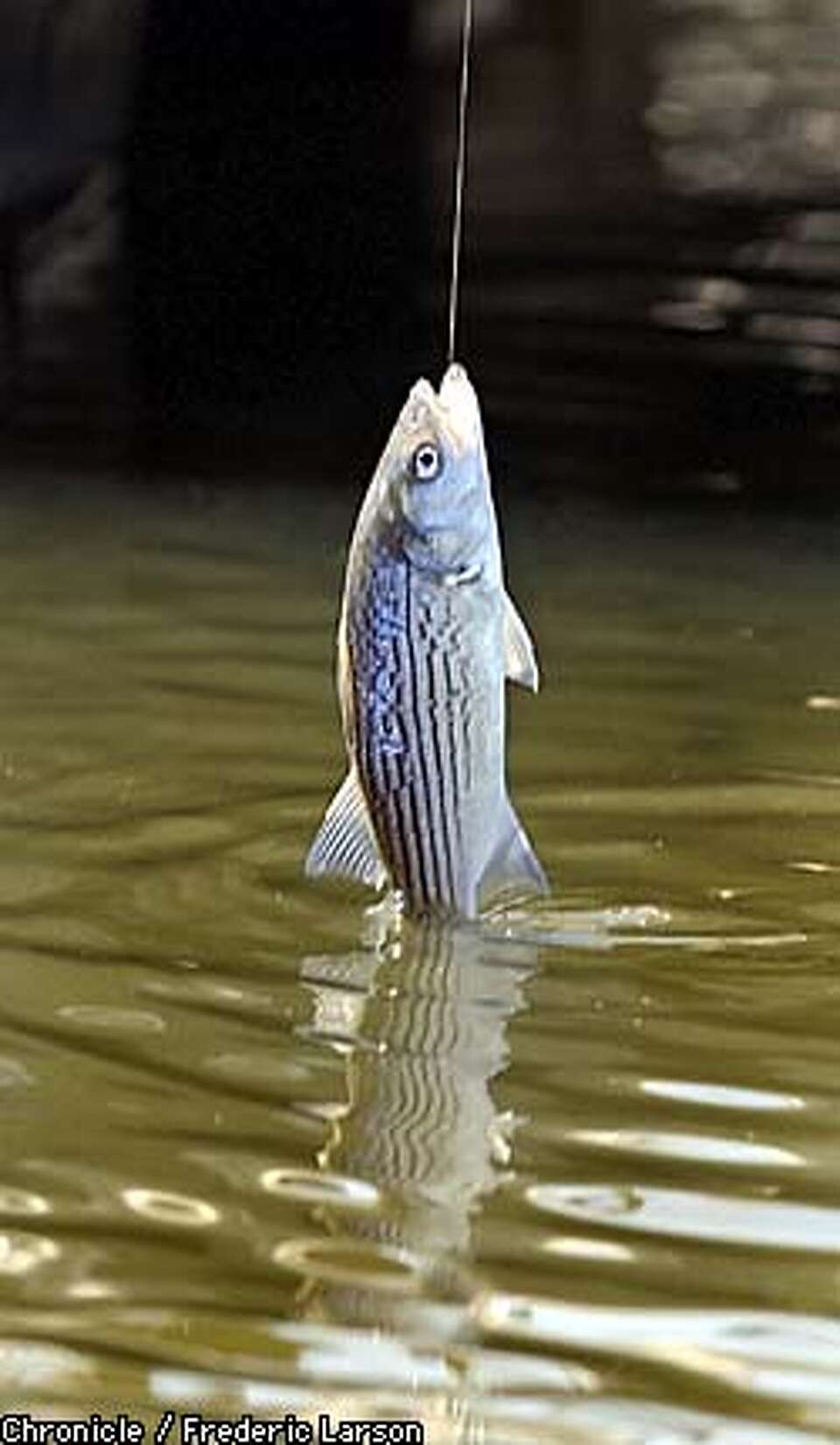 Back on course / Improvements return Napa River to an asset, instead of