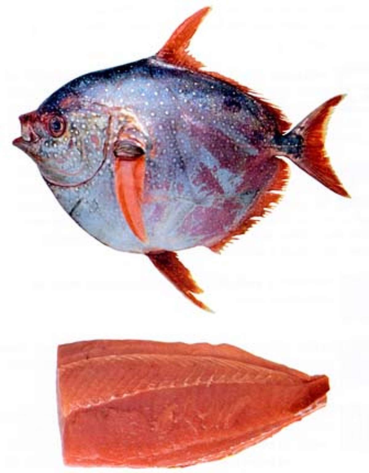 Opah, also called, moonfish, sunfish, kingfish, redfin ocean pan, and Jerusalem haddock. Their unusual looks, large size and scarcity, make them prized trophies for anglers.