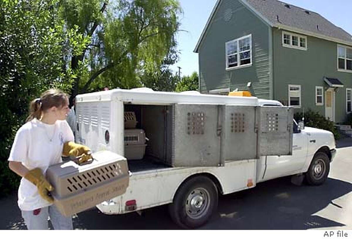 Animal service worker Shohana Brown carries a caged cat to an animal control truck, Wednesday, May 23, 2001, taken from this home in Petalmuma, Calif. A wealthy San Francisco woman was arrested Tuesday, May 22, 2001, after authorities discovered filthy conditions at the two-story home she had purchased exclusively for more than 150 cats to live in. Petaluma authorities say Marilyn Barletta, 55, never lived in the two-story residential district house. She merely drove north from her San Francisco home occasionally to feed the felines. (AP Photo/The Press Democrat, Chad Surmick)