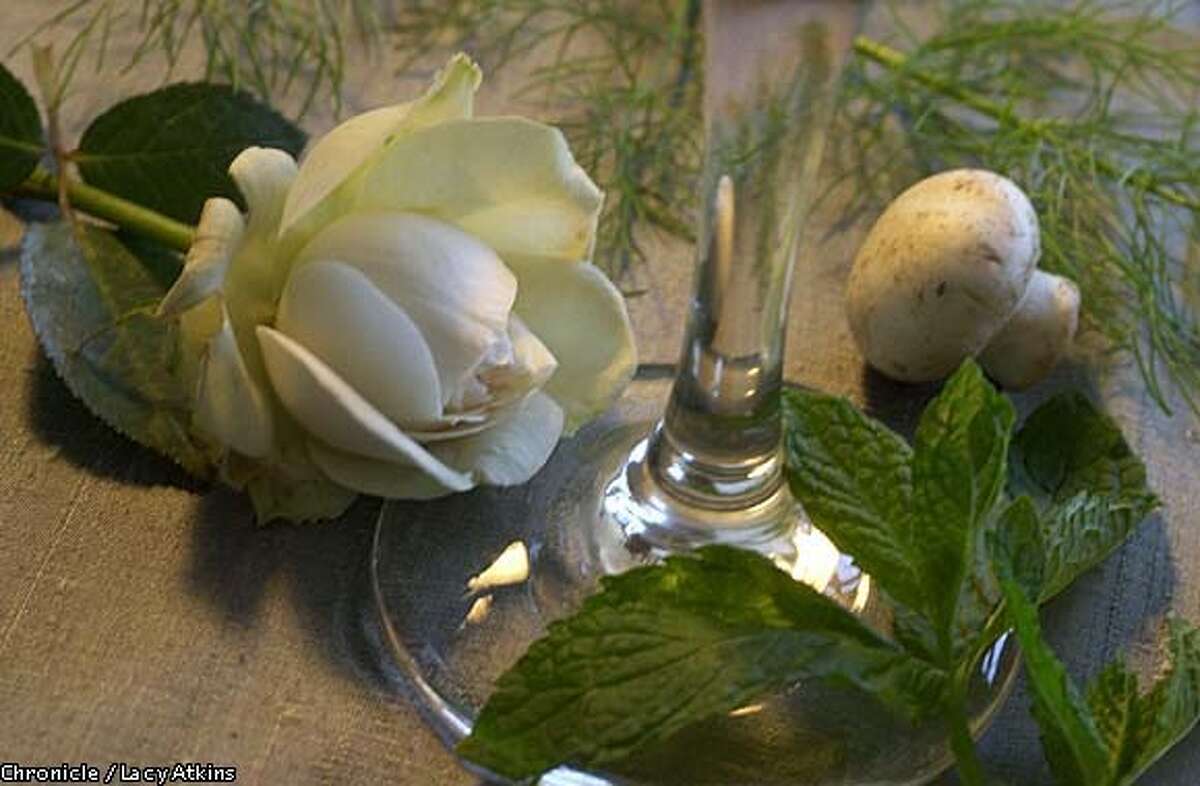 PINOT PRIMER / The wine that launched 1,000 words