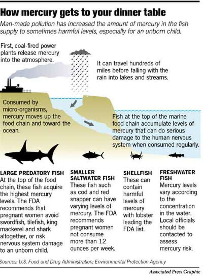 fish mercury levels list