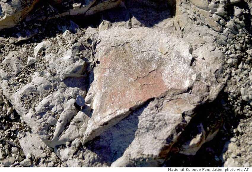 Fossils found in Antarctica from 2 new dinosaur species / St. Mary's