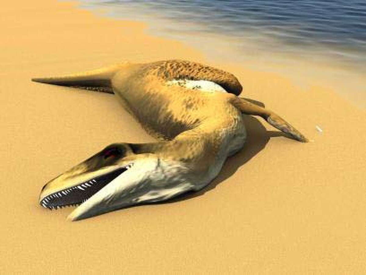 Fossils found in Antarctica from 2 new dinosaur species / St. Mary's