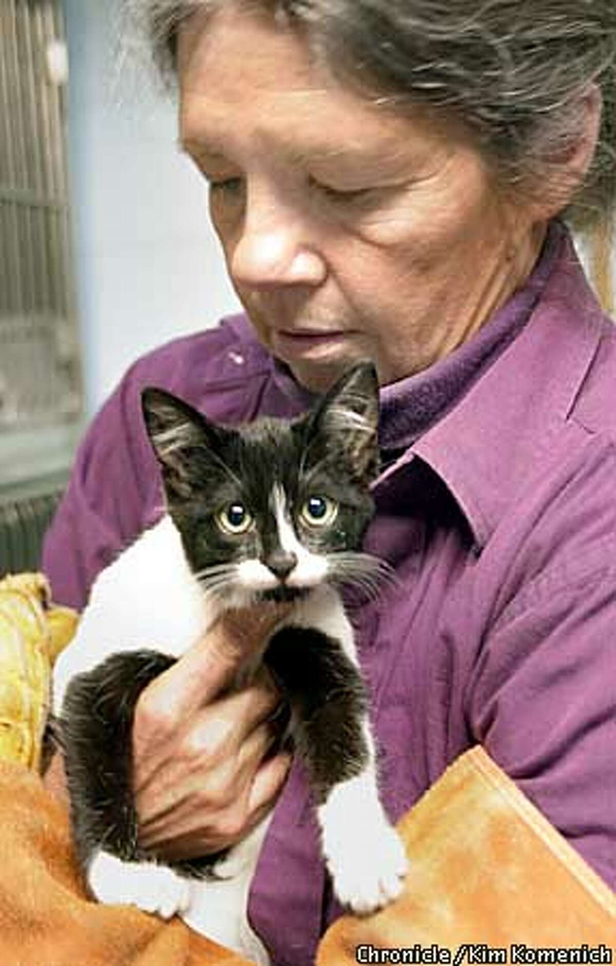 Wild to mild / Volunteers at Berkeley Animal Shelter labor to tame