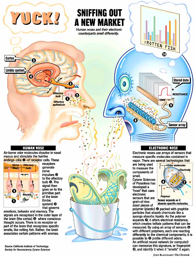 The ENose Knows / Electronic sniffers can do many jobs