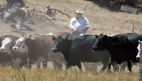 Lifestyles on the line / Ranchers seek split from Santa Barbara County ...