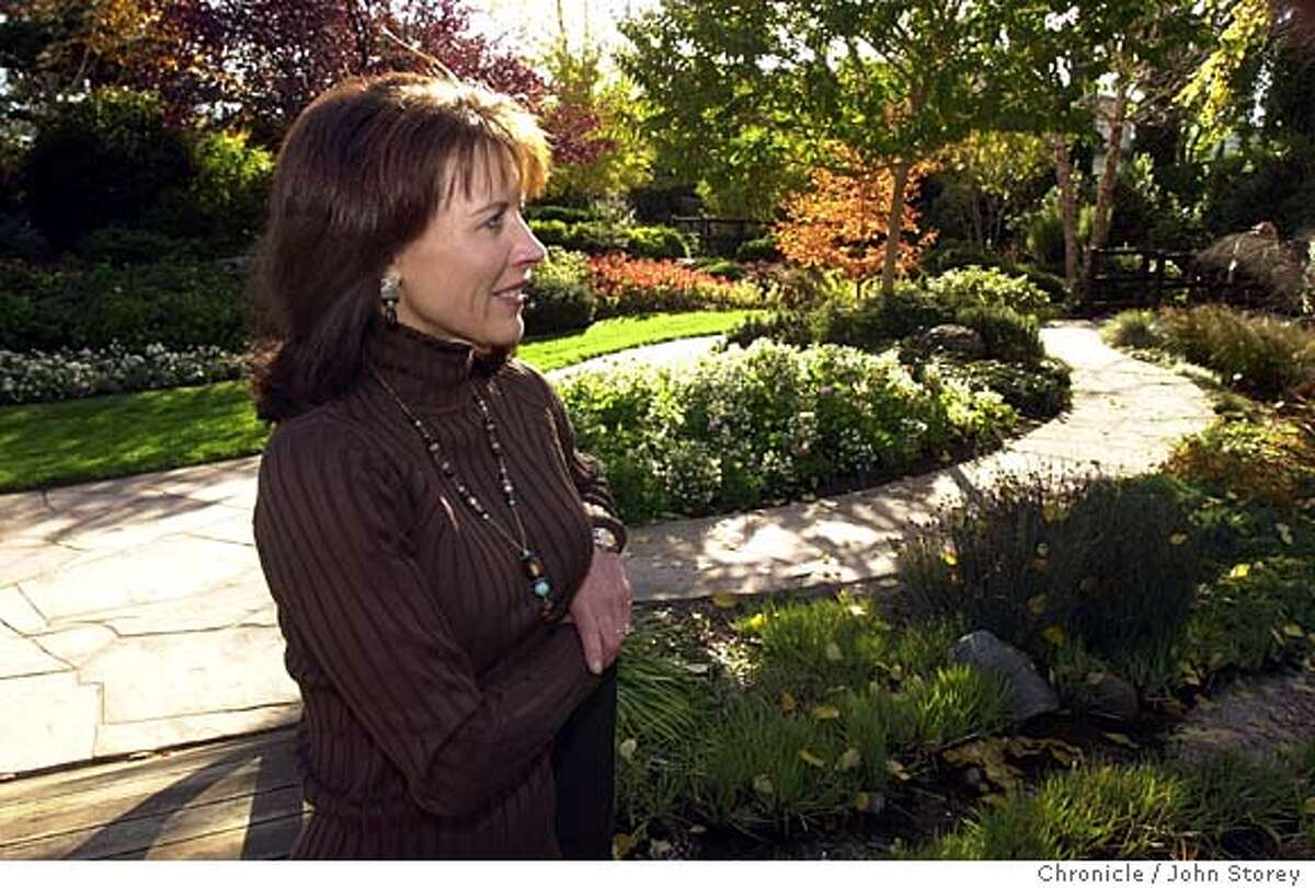 GRAPE / Ruins of things that never were at the Villa Rhonda is a