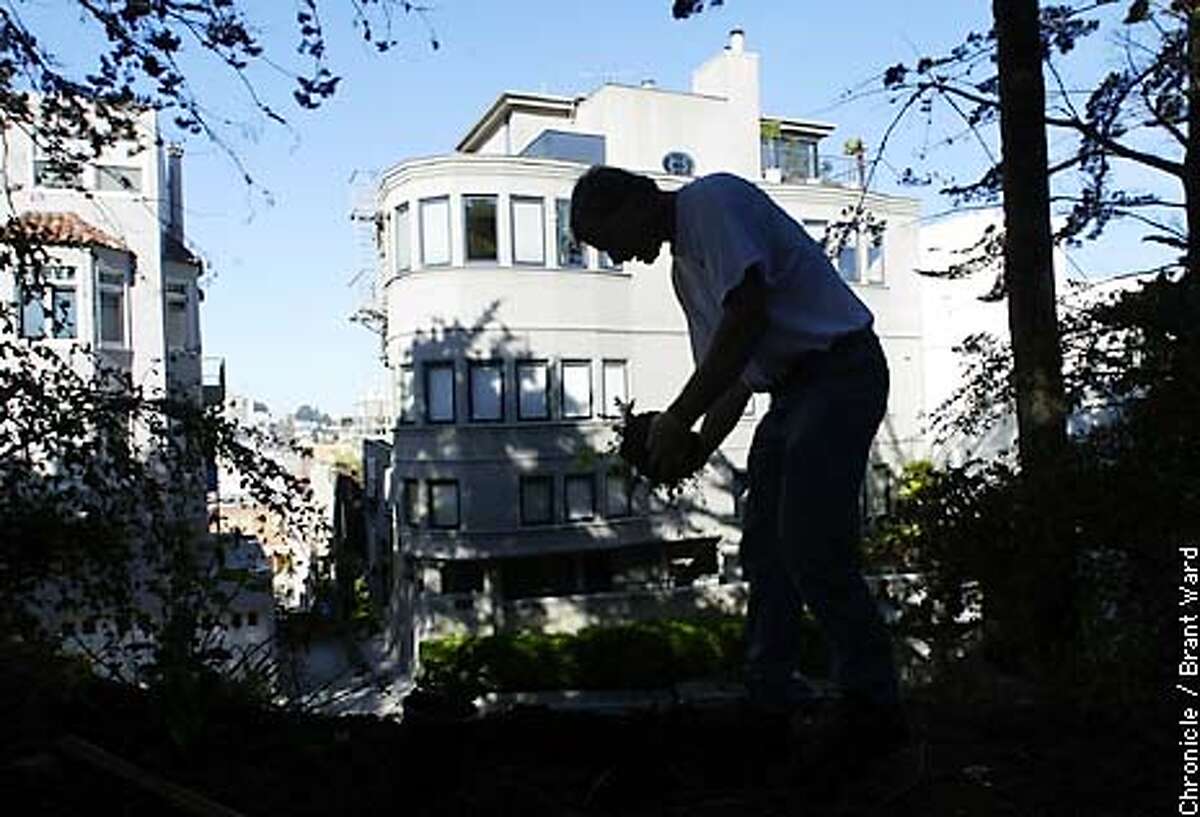 San Francisco's Neighborhood Parks Council is concerned over the very few gardeners left to take care of problems in the city's parks....here a gardener who works part-time at Coit Tower plants some new native plants on a slope. By Brant Ward/Chronicle
