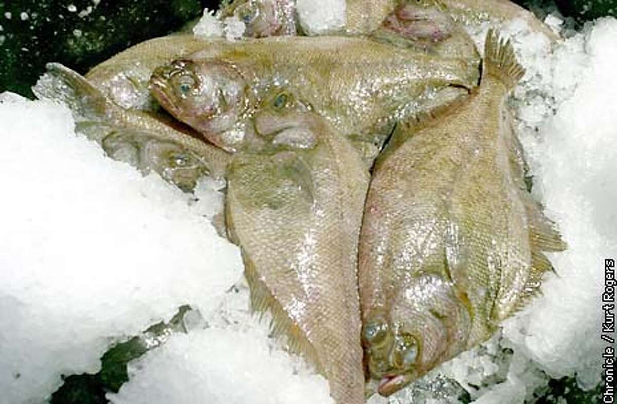 BOTTOMED OUT / New regulations to protect rockfish along