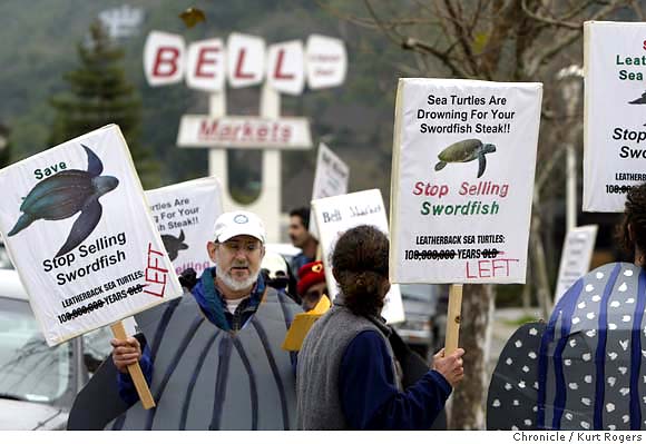 Protesting Turtles Unusual protest when Fairfax market cuts swordfish price / People in ...