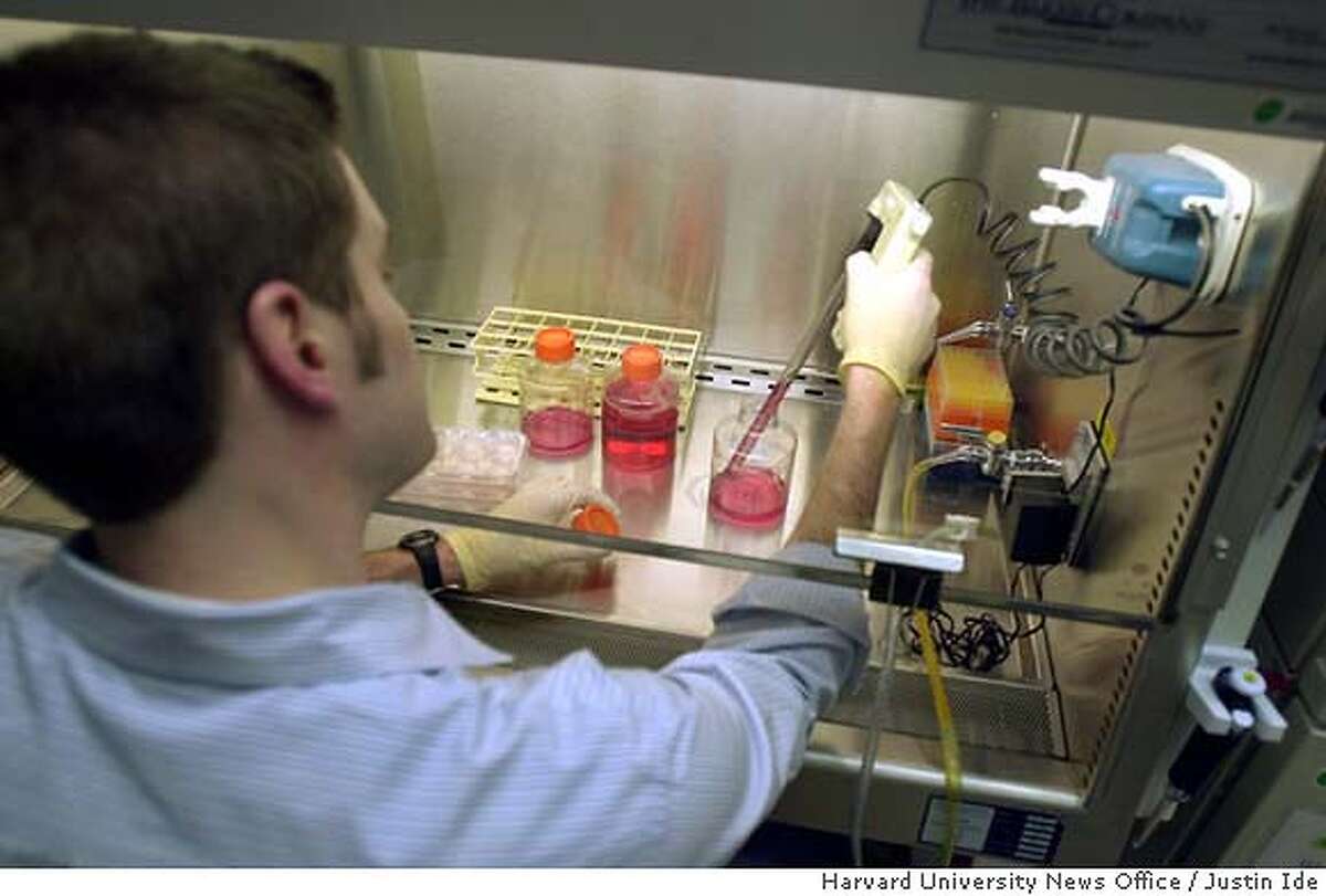 Scientist Creates New Stem Cell Lines Challenge To Bushs Limits On 