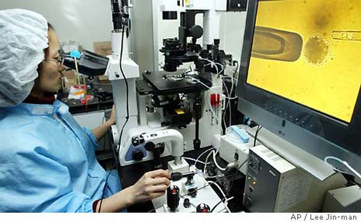 A researcher at Seoul National University prepares to inject a somatic cell, shown on the monitor, into a bovine enucleated egg while watching through a microscope in Seoul, South Korea, Saturday, Feb. 14, 2004. South Korean researchers have become the first in the world to successfully clone a human embryo, and then collect from it master stem cells in a process that might eventually let patients grow their own replacement tissues. (AP Photo/ Lee Jin-man) Harvard Professor Doug Melton works on embyronic stem cell research that could eventually help his two diabetic children.
