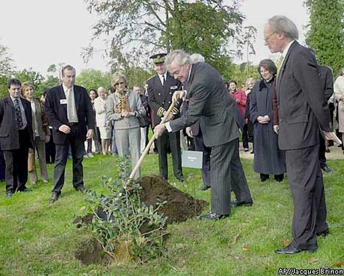A big splash for a good cause / High hopes for hunks to show their stuff at Tenderloin Pool Toss