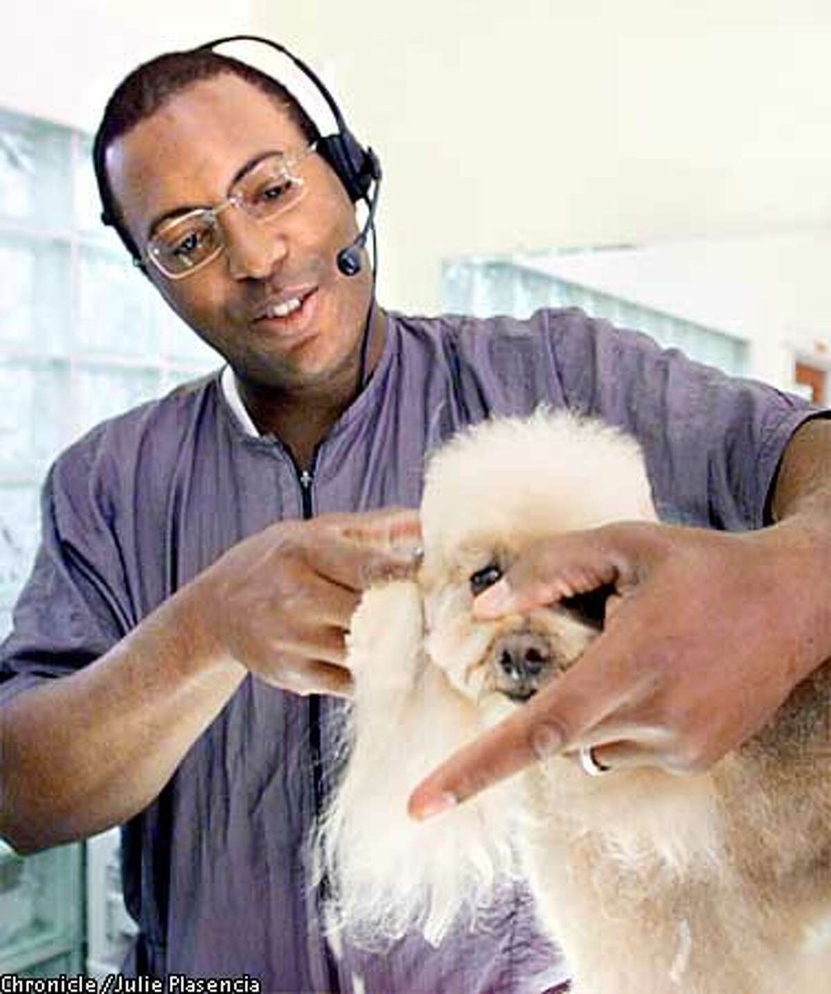 nanny's salon for dogs