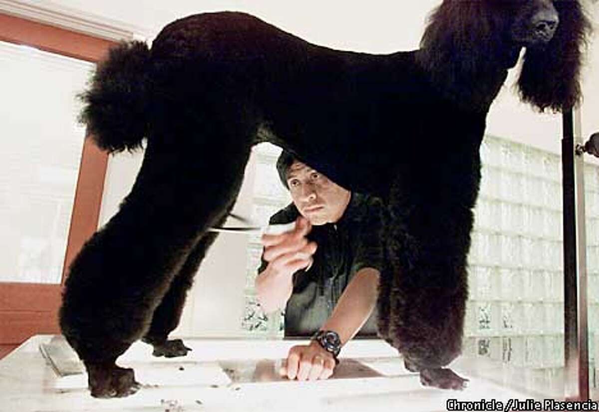 Tails of the city / Russian Hill dog groomers attract highend clientele