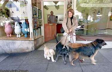 nanny's salon for dogs