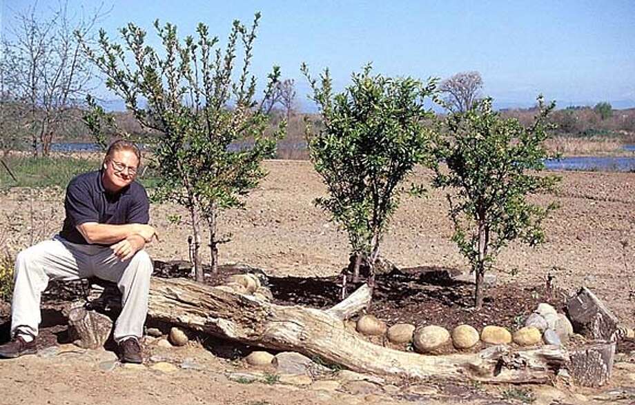 Intensive Effort Creates Orchard In Any Backyard High Density