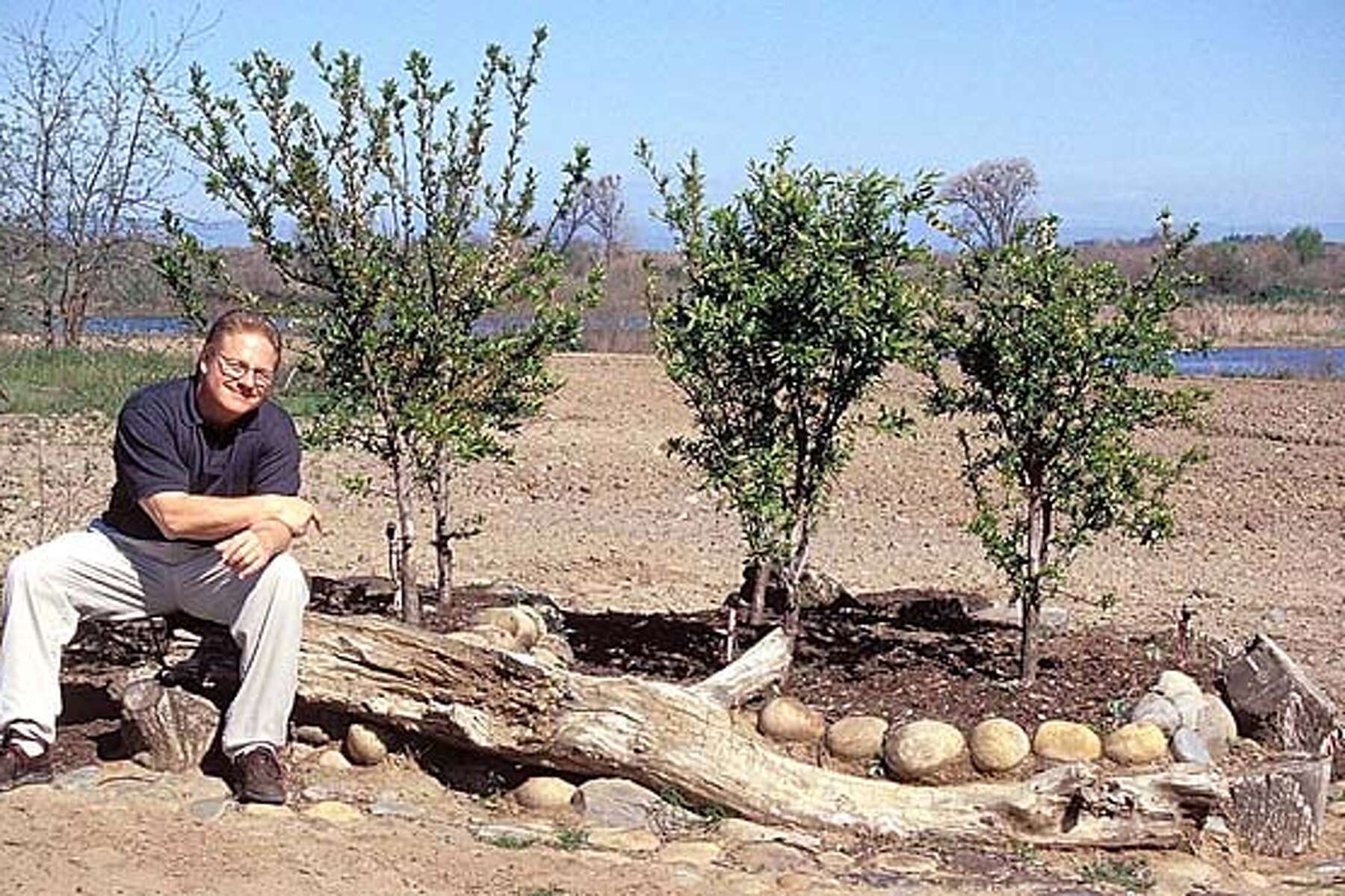 How high a raised bed for a fruit tree