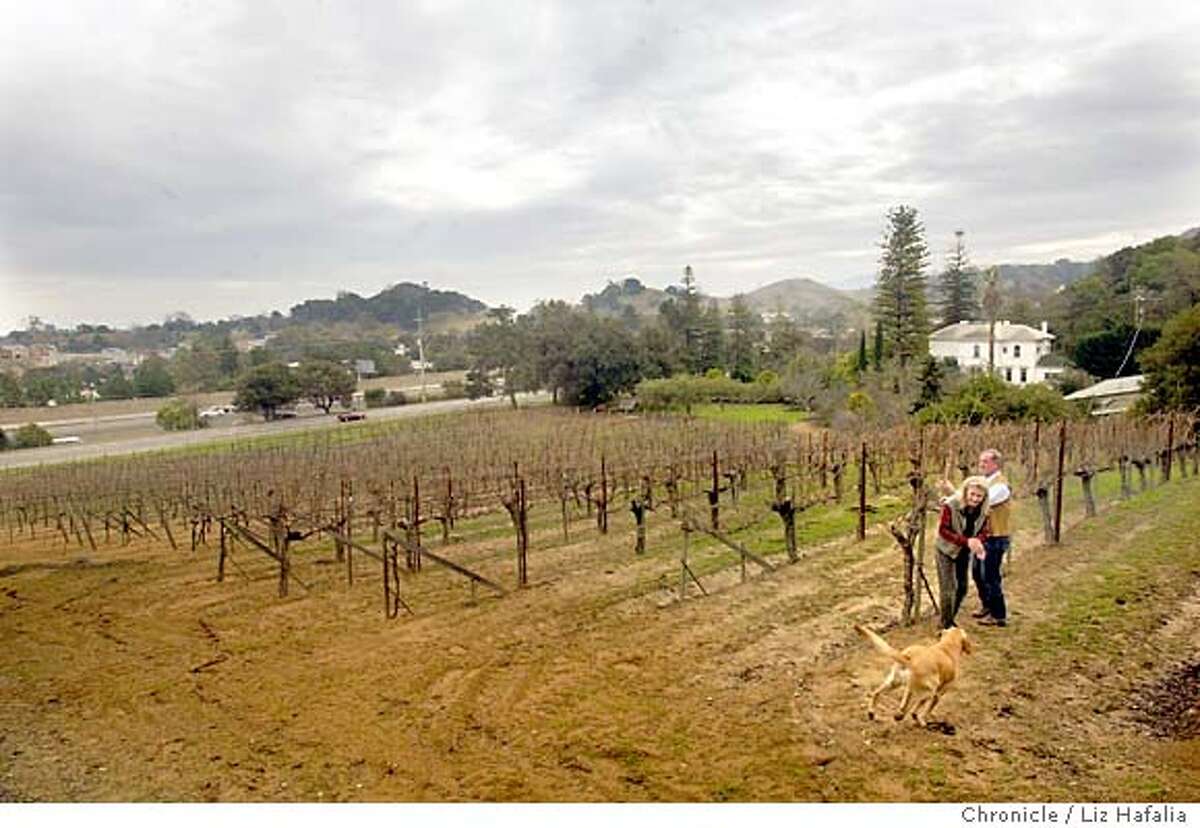 Herbert and Debbie Rowland at their Pacheco Ranch Winery. Shot on 1/6/04 in Novato. LIZ HAFALIA / The Chronicle