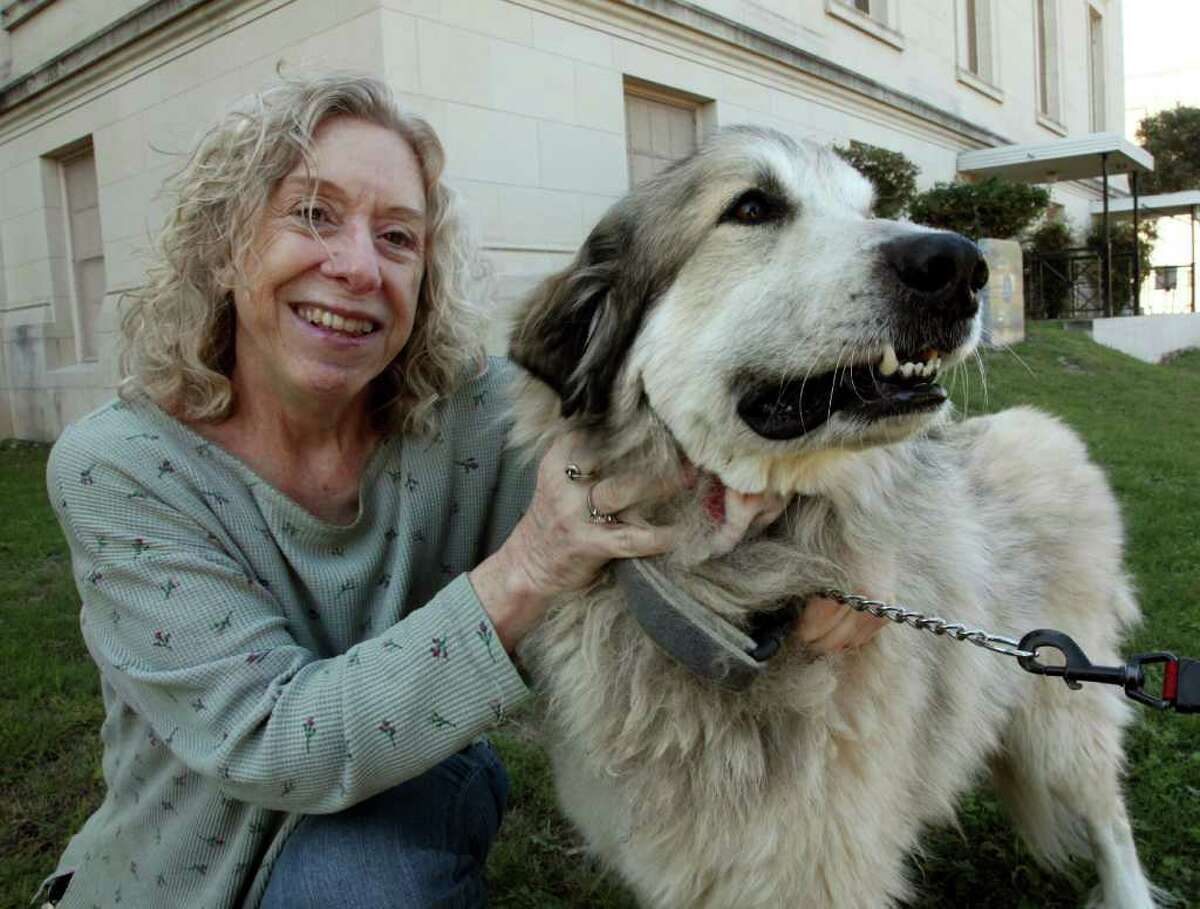 Kate Cordts' dog Rowdy has been doing well after receiving an experimental cancer treatment.