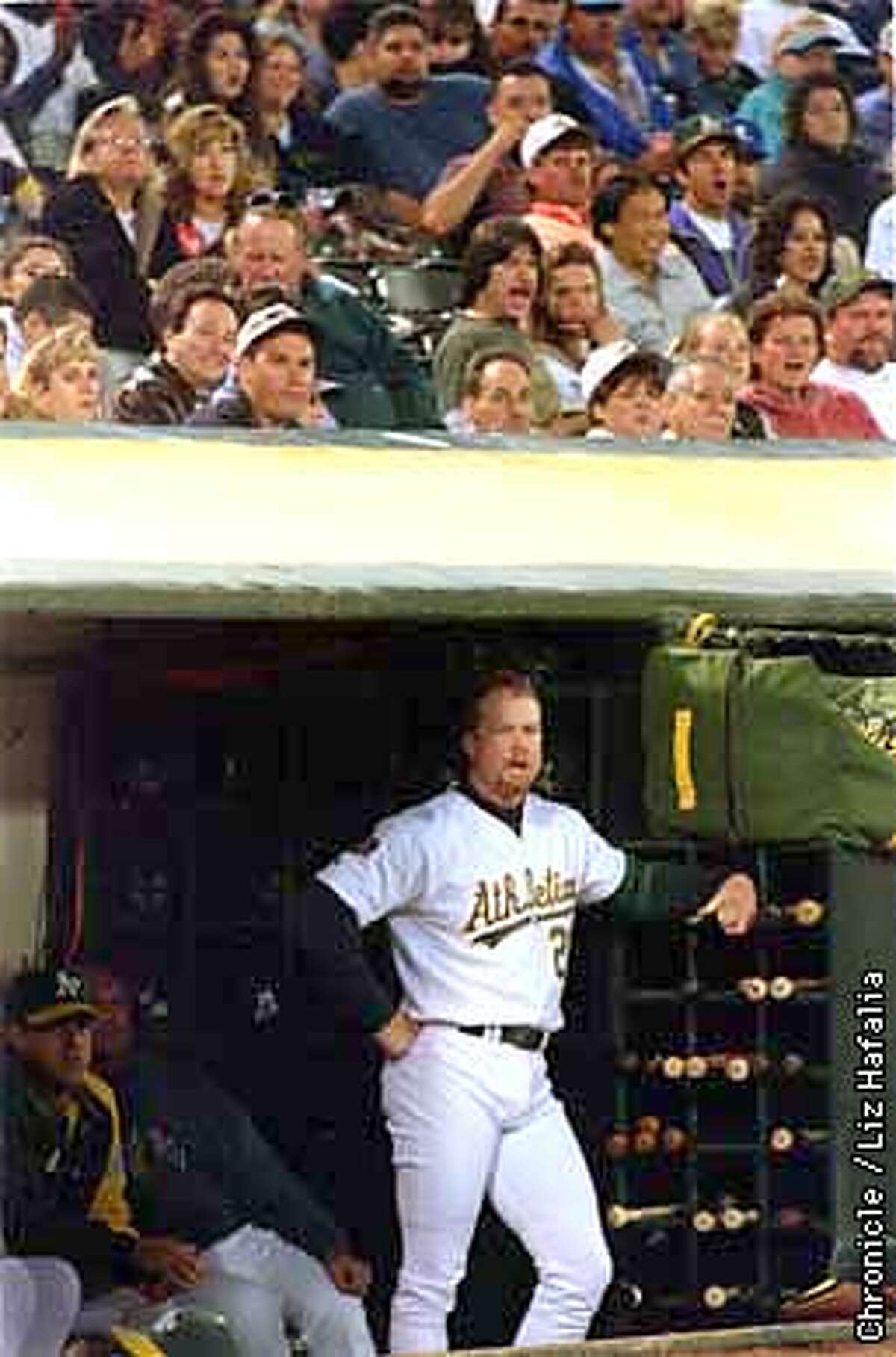 A's first baseman Mark McGwire watches game from the dugout. Photo by Liz Hafalia