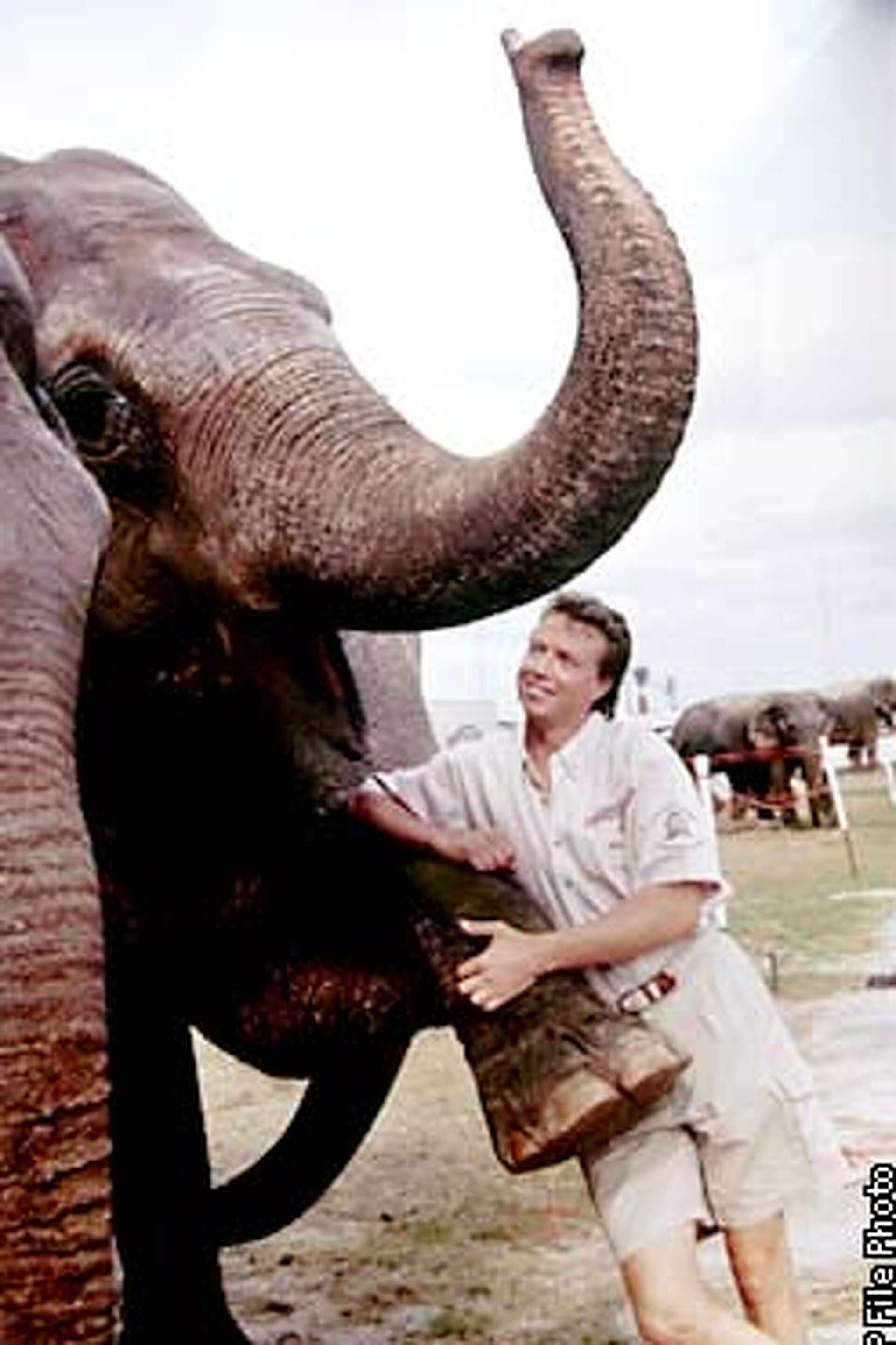 Elephant abuse trial pits circus, activists / Trainer is