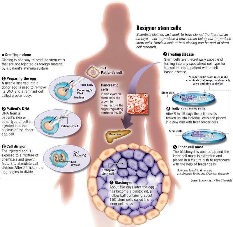 Untangling biotech issues / Cloning is research field entirely separate ...