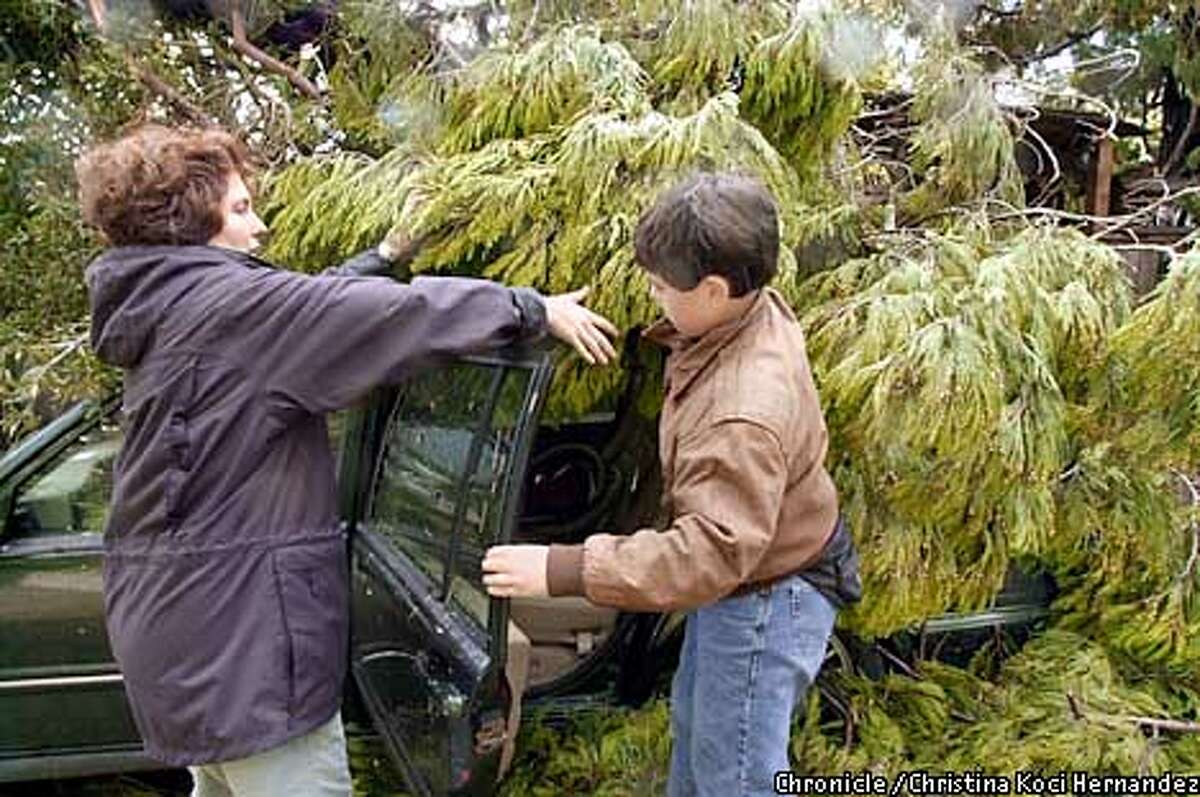 WEATHER25c-C-24NOV01-MT-CKH CHRISTINA KOCI HERNANDEZ/CHRONICLE (L to R) Alison Keye, in front of her home in the Berkeley hills, works to remove parts of the cedar that fell on her car, with help from her son, Ben Stolurow, age 12.