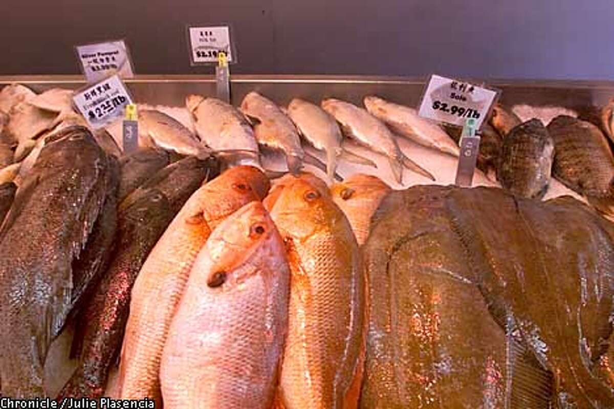 Fresh harvest fish market