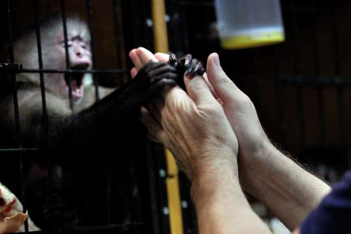 Monkey owners flee Louisiana crackdown
